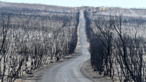 australia_vrohes