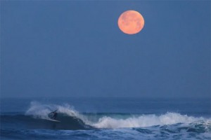 The moon sets into the Pacific Ocean as a surfer rides an early morning wave off the coast of Encinitas, California, U.S., March 17, 2022. REUTERS/Mike BlakeMIKE BLAKE VIA REUTERS