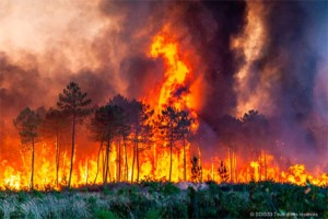 Η συμπεριφορά των πυρκαγιών αλλάζει.  AP